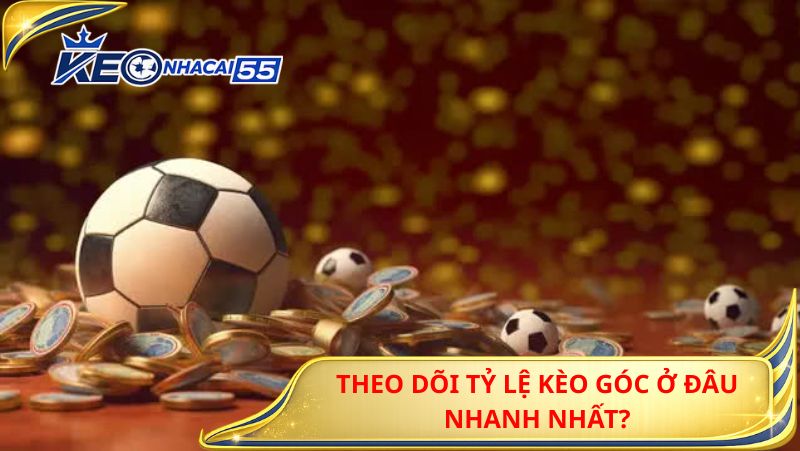 Theo Dõi Tỷ Lệ Kèo Góc Ở Đâu Nhanh Nhất?