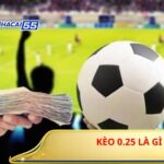 Keo 0 25 La Gi 2