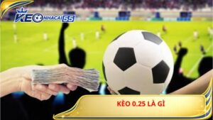 Keo 0 25 La Gi 2