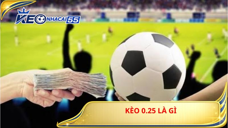 Kèo 0.25 Là Gì? Tư Duy Đúng Và Hệ Thống Ra Quyết Định Khi Đặt Kèo 1 Kèo 0.25 Là Gì