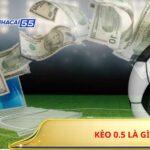 Kèo 0.5 Là Gì? Tâm Lý Đặt Kèo Nửa Trái Và Mô Hình Khai Thác Theo Từng Loại Trận 4 Kèo 0.5 Là Gì