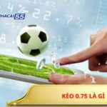 Kèo 0.75 Là Gì