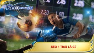 Kèo 1 Trái Là Gì