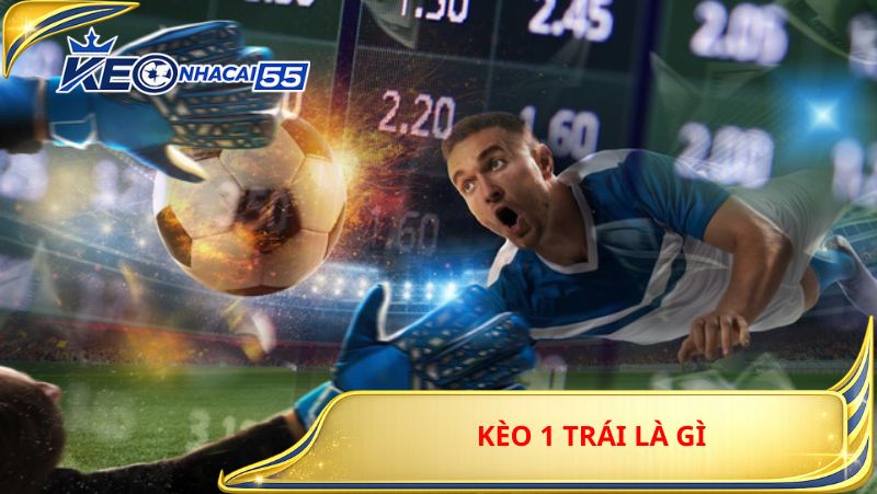 Kèo 1 Trái Là Gì