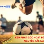 Kèo Phạt Góc – Bí Quyết Đọc Kèo Và Đặt Cược Thắng Đều 4 Kèo Phạt Góc Hoạt Động Theo Nguyên Tắc Nào?