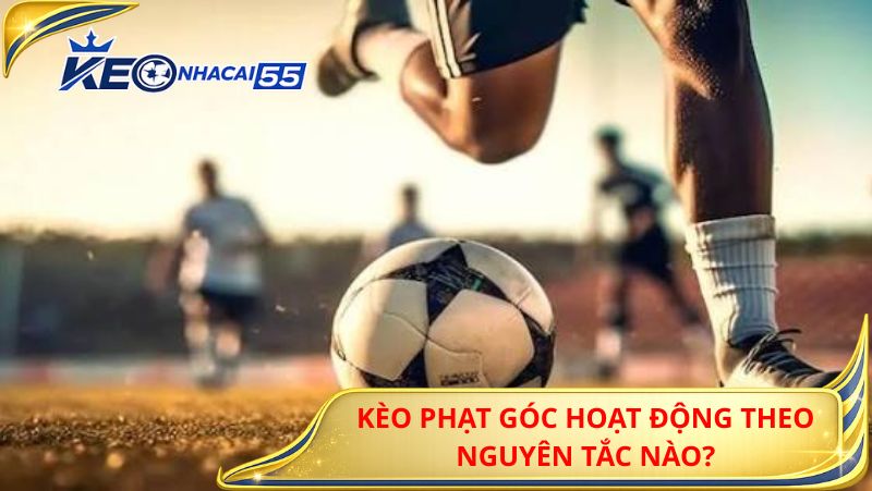 Kèo Phạt Góc Hoạt Động Theo Nguyên Tắc Nào?