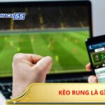Kèo Rung Là Gì? Cách Nhận Biết Và Xử Lý Kèo Rung Hiệu Quả 4 Kèo Rung Là Gì?