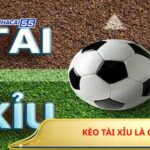 Kèo Tài Xỉu Là Gì