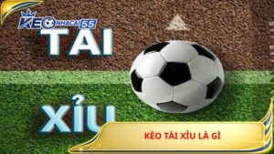 Kèo Tài Xỉu Là Gì