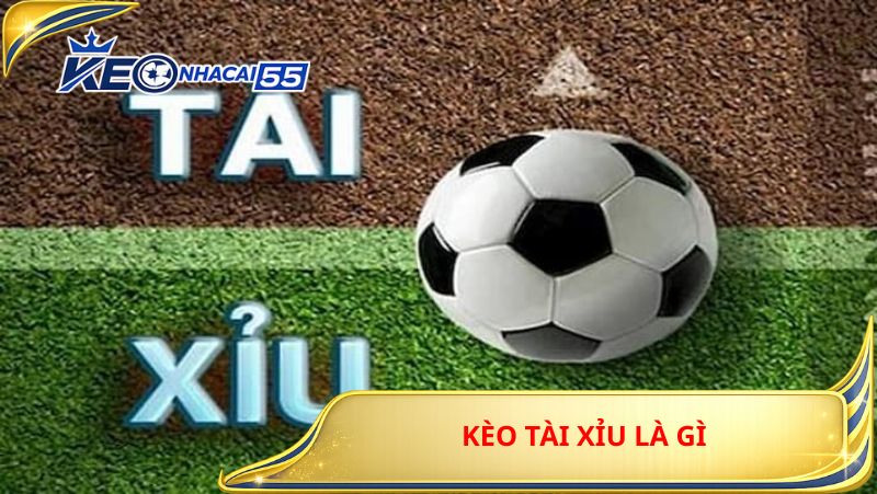 Kèo Tài Xỉu Là Gì? Cách Đọc Và Đặt Kèo Tài Xỉu Chuẩn Nhất 1 Kèo Tài Xỉu Là Gì