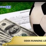 Odds Running La Gi 3