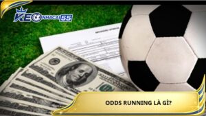 Odds Running La Gi 3