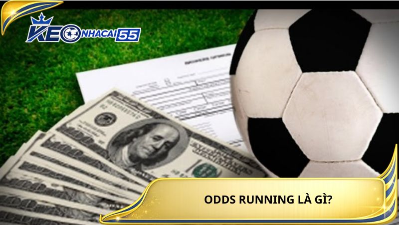 Odds Running La Gi 3