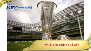Ty Le Keo Cup C2 La Gi 2