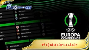 Ty Le Keo Cup C3 La Gi 3