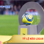 Tỷ Lệ Kèo Ligue 1 – DNA Bóng Đá Pháp Và Mô Hình Khai Thác Kèo Theo Từng Loại Trận 4 Ty Le Keo Ligue 1 1